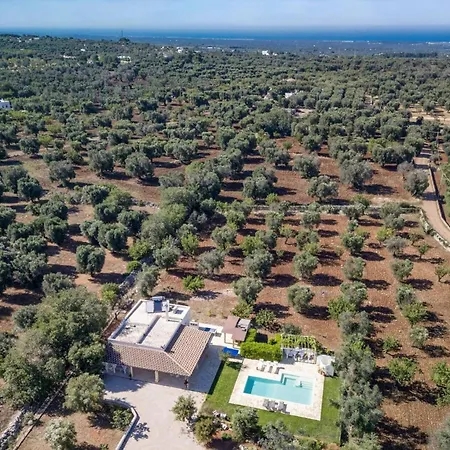 Mincodda By Villa